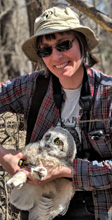 Karla Bloem banding a Great Horned owlet