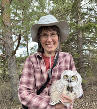 Karla Bloem holding a Great Horned owlet