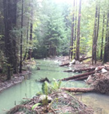 Lawrence Creek