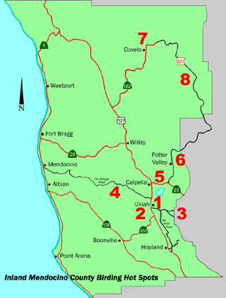 Inland Mendocino Birding Map