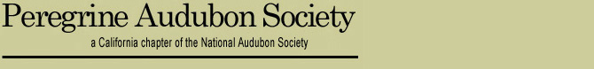 Peregrine Audubon Society - A California chapter of the National Audubon Society