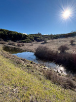 Sag Pond