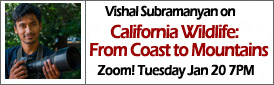 Vishal Subramanyan on California Wildlife: From Coast to Mountains
