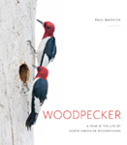 Woodpecer: A Year in the Life of North American Woodpeckers